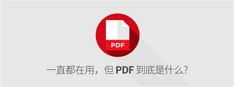 pdf 全名|一直都在用，但 PDF 到底是什么？